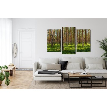 Mehrteiliges Bild 3D-Kiefernwald