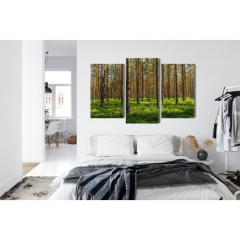 Mehrteiliges Bild 3D-Kiefernwald