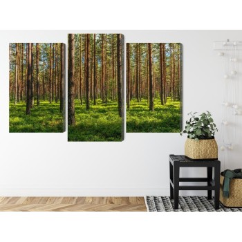 Mehrteiliges Bild 3D-Kiefernwald