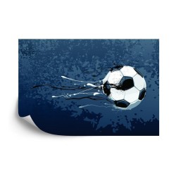 Fototapete Fußballstars: Schießen