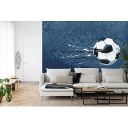 Fototapete Fußballstars: Schießen