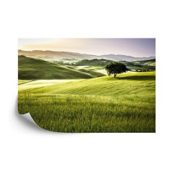 Fototapete Hügellandschaft