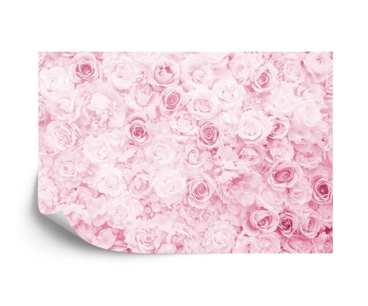 Fototapete Verblaßtes Blumenweinlese-Rosa