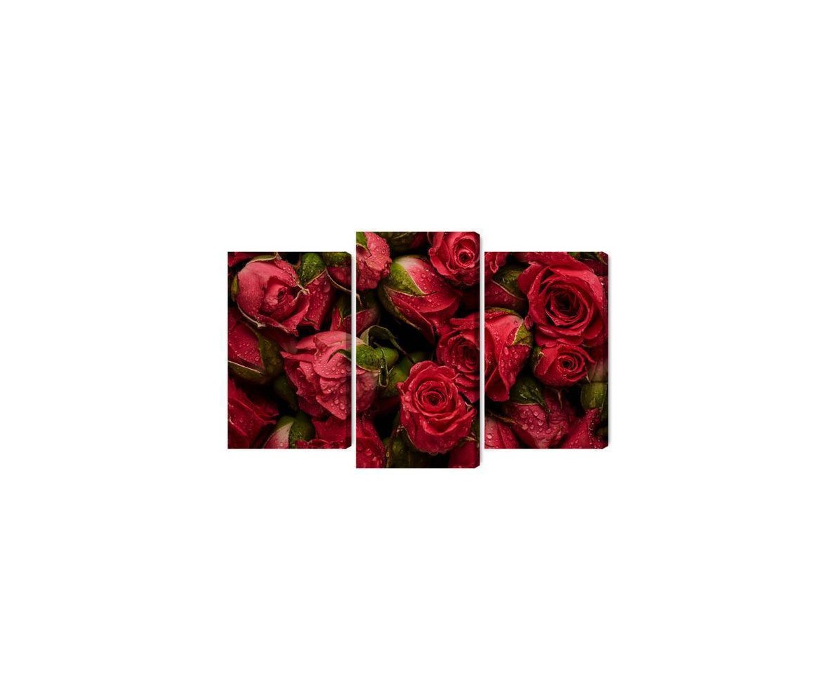 Mehrteiliges Bild Rosen Mit Wassertropfen