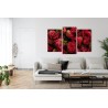 Mehrteiliges Bild Rosen Mit Wassertropfen