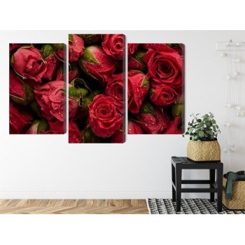 Mehrteiliges Bild Rosen Mit Wassertropfen