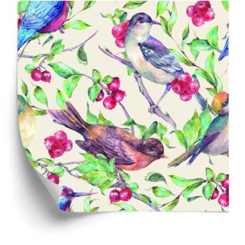 Tapete Schöne Bunte Vögel