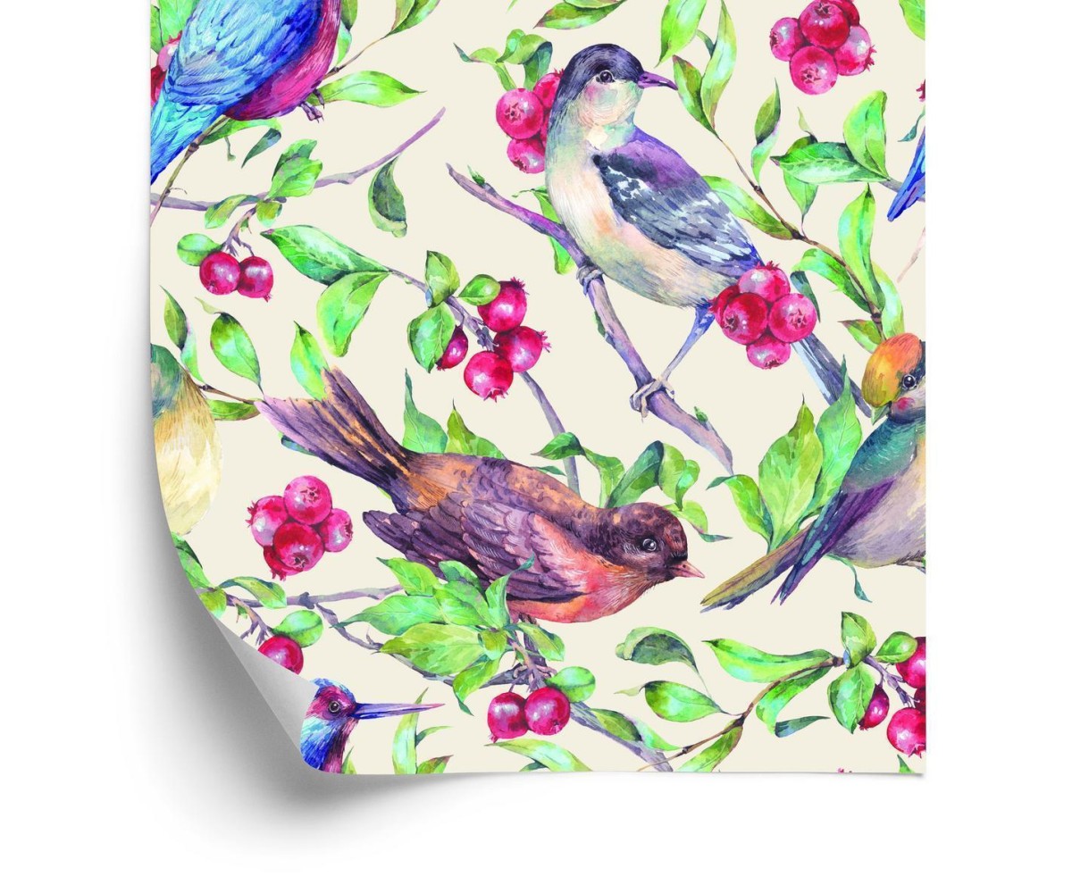 Tapete Schöne Bunte Vögel