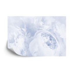 Fototapete Schöne Blüten Verblichenes Vintages Blau