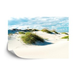 Fototapete Nachmittag In Den Dünen