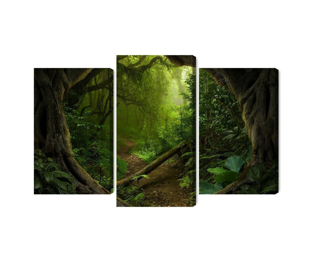 Mehrteiliges Bild Pfad Im Tropischen Wald