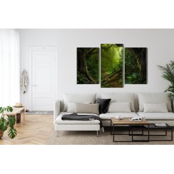 Mehrteiliges Bild Pfad Im Tropischen Wald