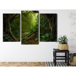 Mehrteiliges Bild Pfad Im Tropischen Wald
