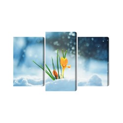 Mehrteiliges Bild Gelbe Krokusse  Die Durch Den Schnee Brechen