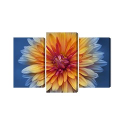Mehrteiliges Bild Chrysanthemenblume Hautnah 3D