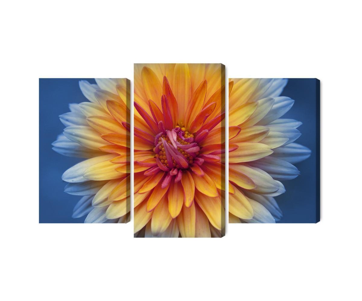 Mehrteiliges Bild Chrysanthemenblume Hautnah 3D