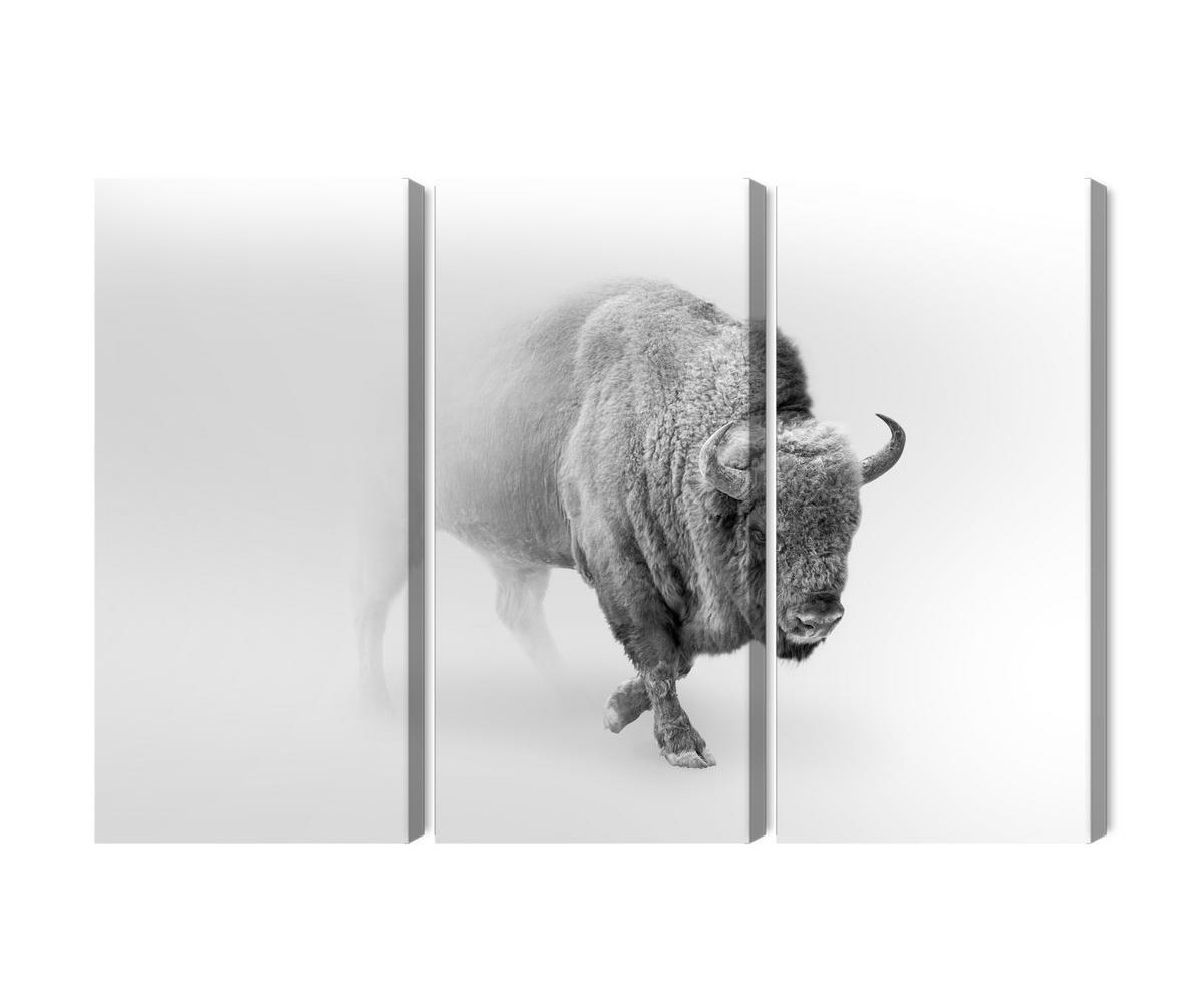 Mehrteiliges Bild Bison Im Nebel 3D