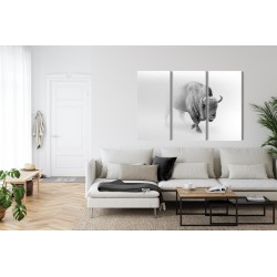 Mehrteiliges Bild Bison Im Nebel 3D