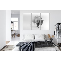 Mehrteiliges Bild Bison Im Nebel 3D