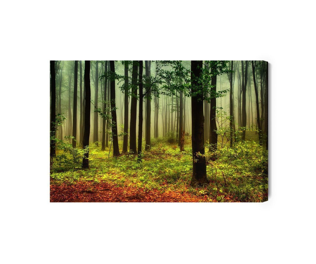 Leinwandbild 3D-Waldlandschaft