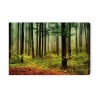 Leinwandbild 3D-Waldlandschaft