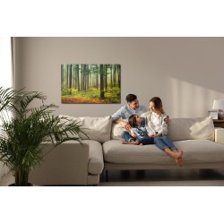 Leinwandbild 3D-Waldlandschaft