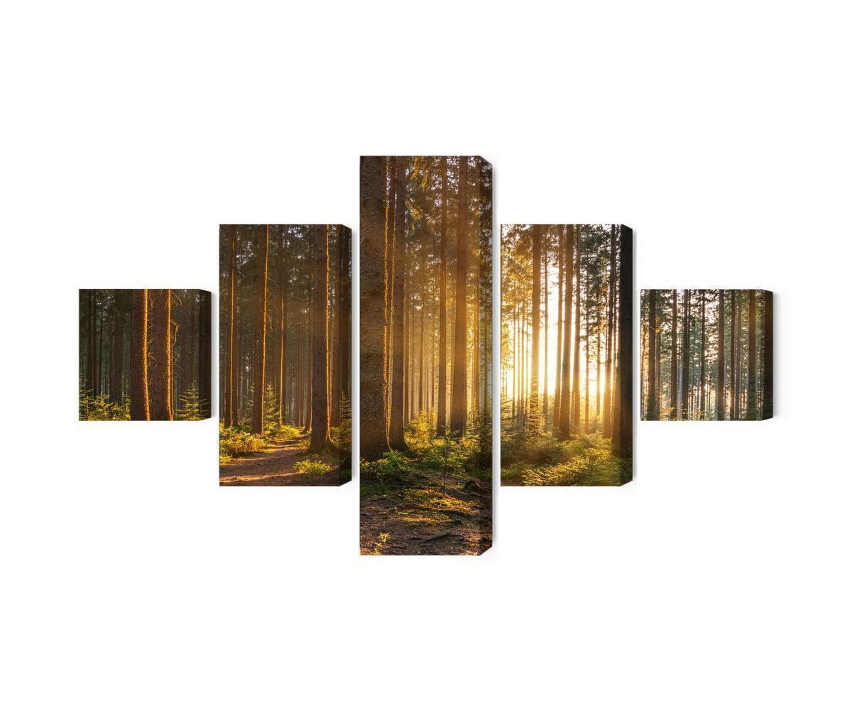 Mehrteiliges Bild Sonnenuntergang Im Wald