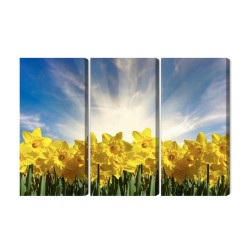 Mehrteiliges Bild 3D Narzissenfeld