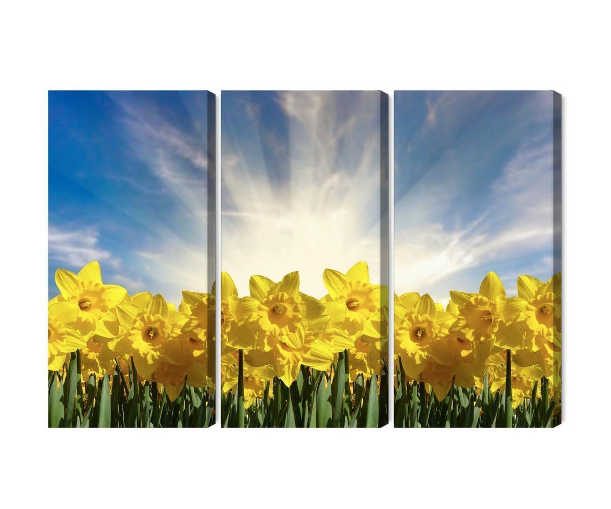 Mehrteiliges Bild 3D Narzissenfeld