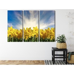 Mehrteiliges Bild 3D Narzissenfeld