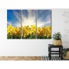 Mehrteiliges Bild 3D Narzissenfeld