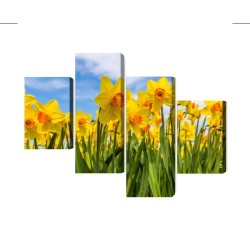 Mehrteiliges Bild Narzissenfeld 3D