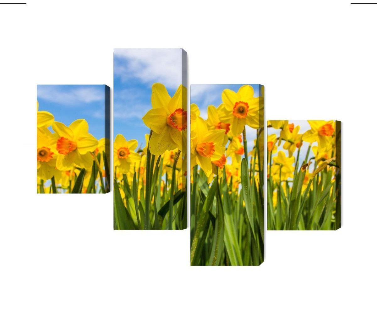 Mehrteiliges Bild Narzissenfeld 3D