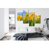 Mehrteiliges Bild Narzissenfeld 3D