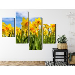 Mehrteiliges Bild Narzissenfeld 3D