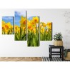 Mehrteiliges Bild Narzissenfeld 3D
