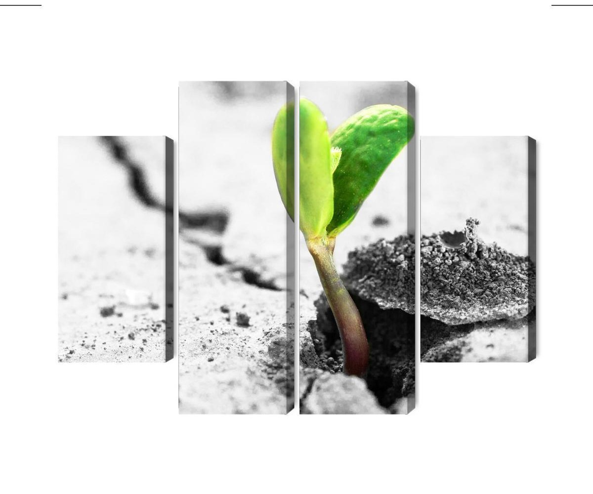 Mehrteiliges Bild 3D-Pflanzenkeimung