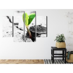 Mehrteiliges Bild 3D-Pflanzenkeimung
