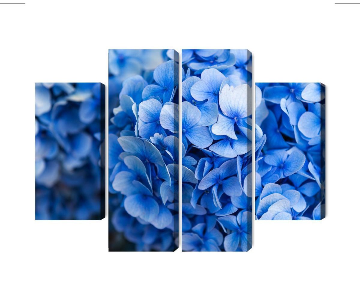 Mehrteiliges Bild Blaue Hortensienblüten Aus Nächster Nähe