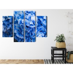 Mehrteiliges Bild Blaue Hortensienblüten Aus Nächster Nähe