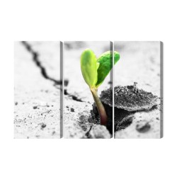 Mehrteiliges Bild 3D-Pflanzenkeimung