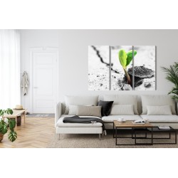 Mehrteiliges Bild 3D-Pflanzenkeimung