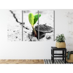 Mehrteiliges Bild 3D-Pflanzenkeimung