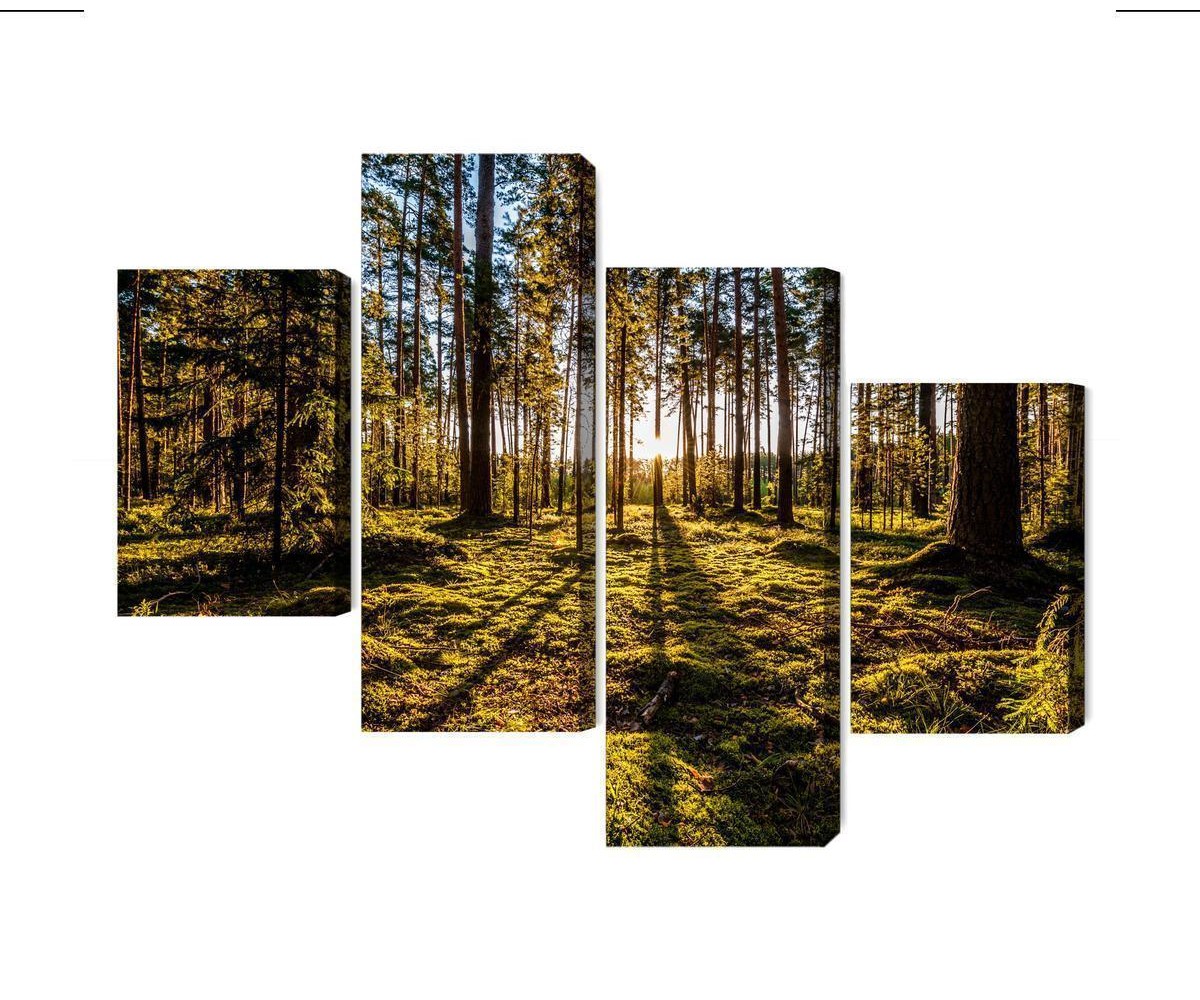 Mehrteiliges Bild Morgensonne Strahlt Im Wald