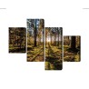 Mehrteiliges Bild Morgensonne Strahlt Im Wald