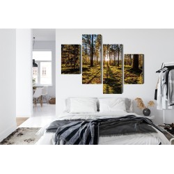 Mehrteiliges Bild Morgensonne Strahlt Im Wald