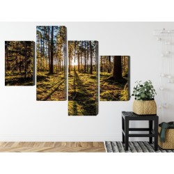 Mehrteiliges Bild Morgensonne Strahlt Im Wald