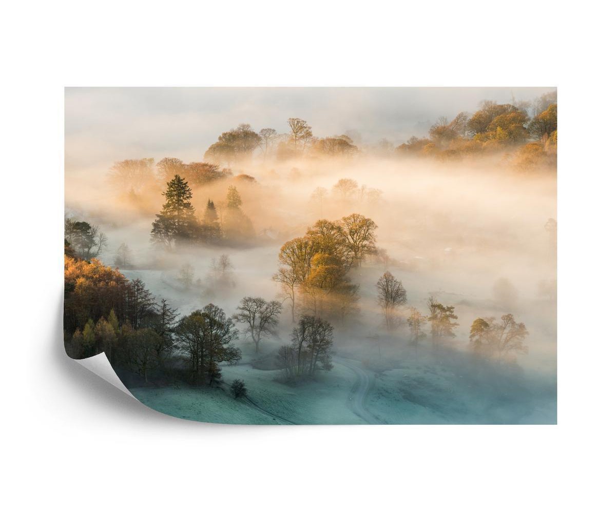 Fototapete Wald Im Nebel