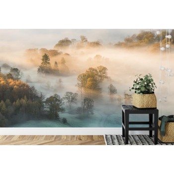 Fototapete Wald Im Nebel