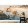 Fototapete Wald Im Nebel